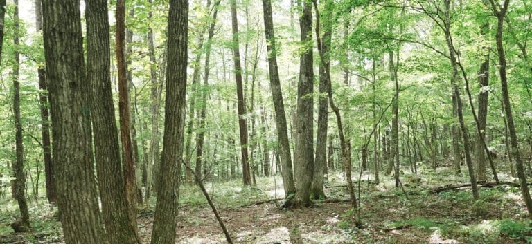 岩手県産木材セミナーinMOCTION開催